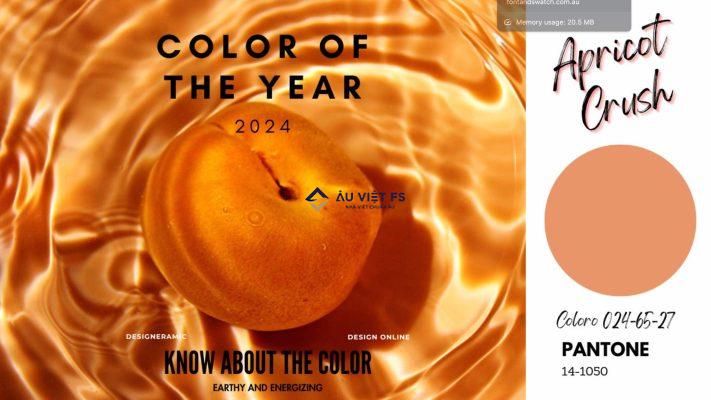Apricot Crush, Màu chủ đạo năm 2024, Color trend 2024, Màu sắc 2024, Mày may mắn 2024, Màu nội thất 2024